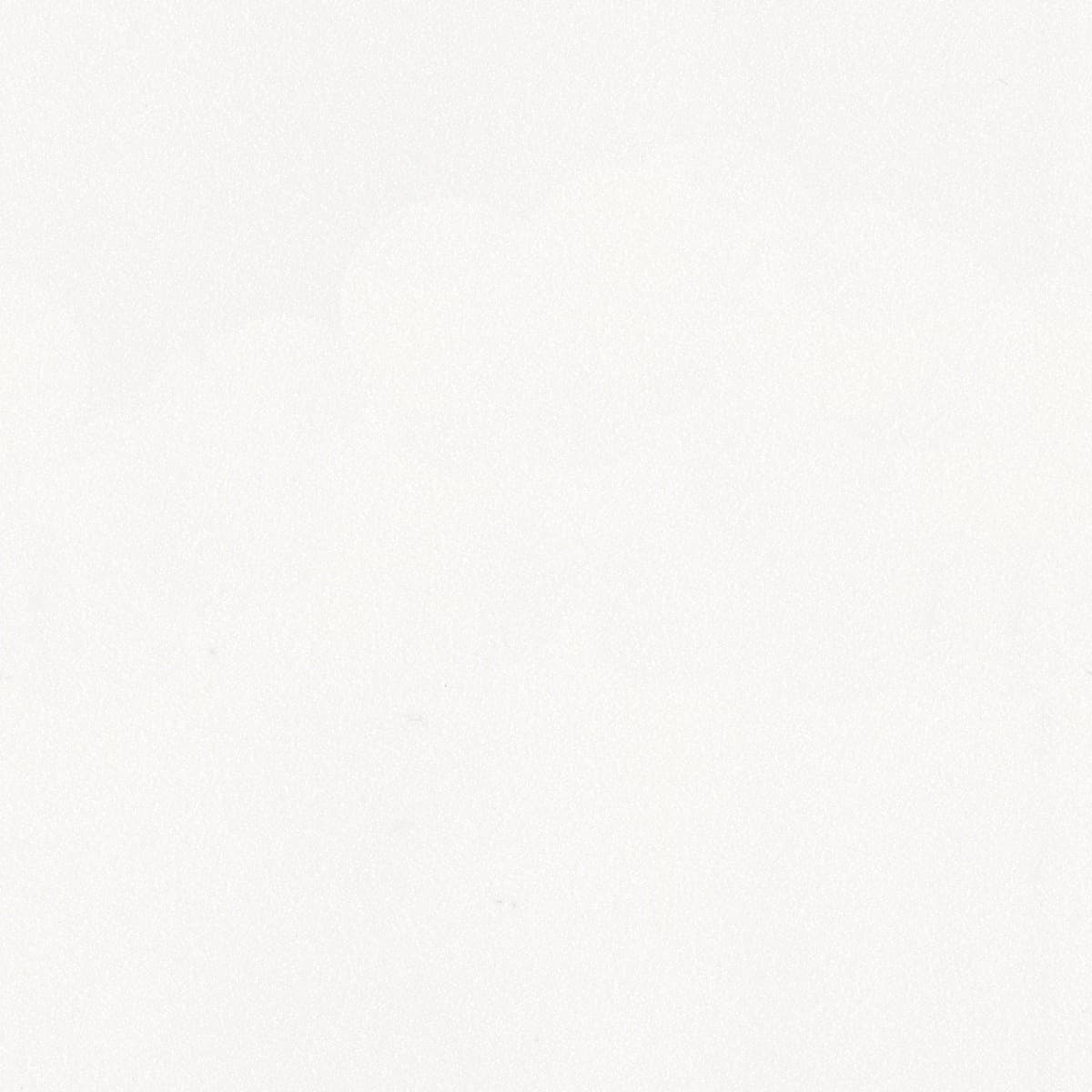 D-024 SILVERWHITE
