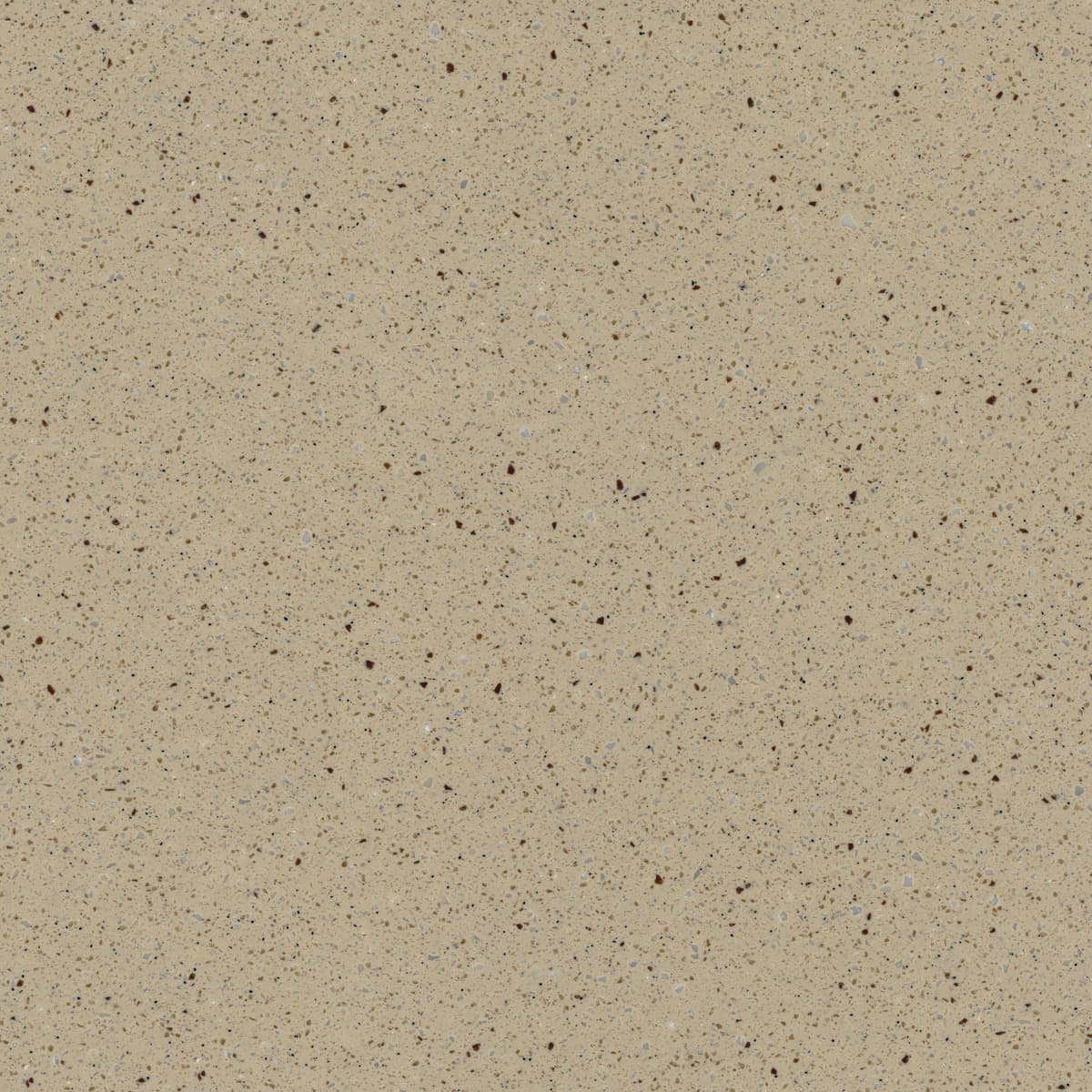 T-243 BROWN COOKIE