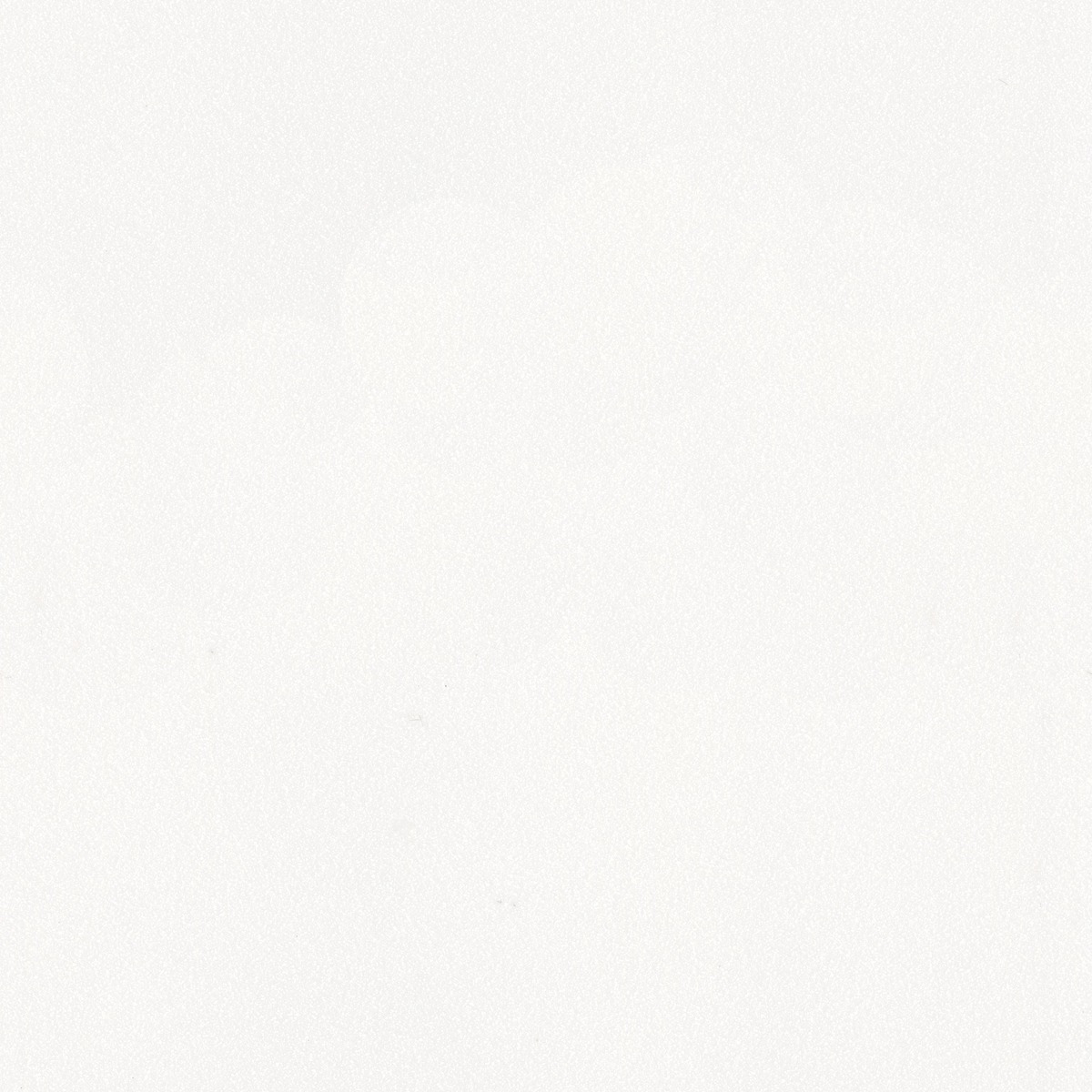 D-024 SILVERWHITE