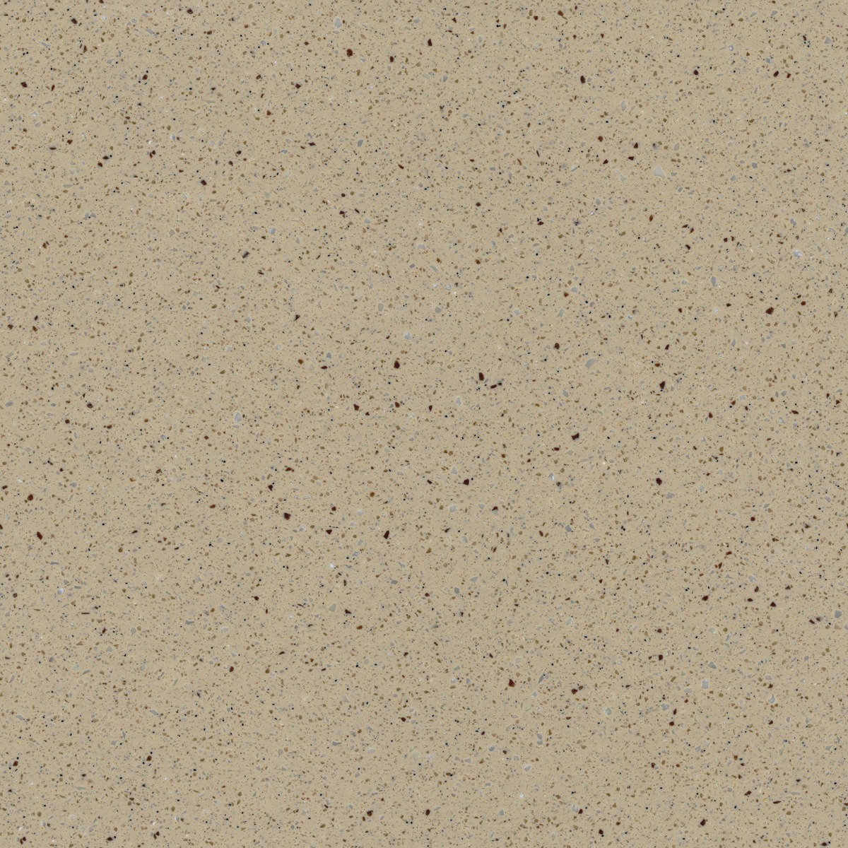 T-243 BROWN COOKIE